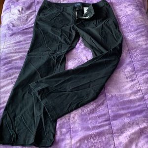 Black American Eagle Knackis